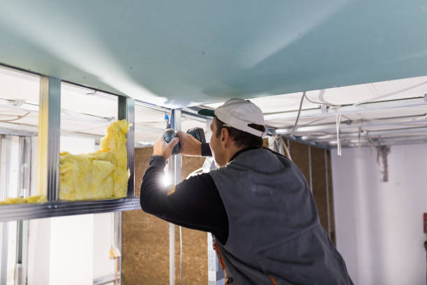 Best Cellulose Insulation in Parkland, FL