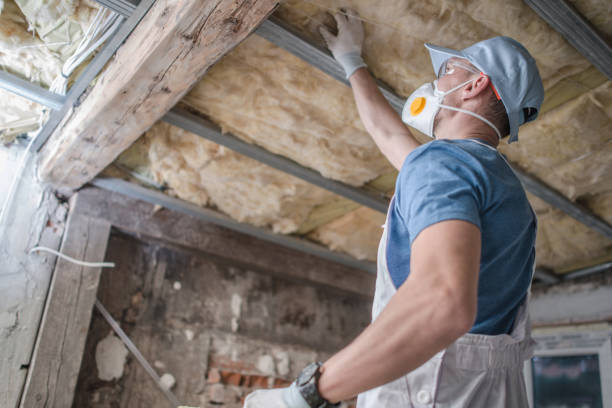 Best Insulation Maintenance and Repair in Parkland, FL