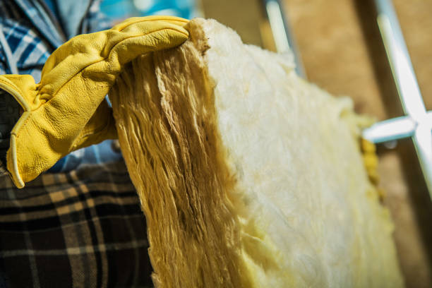 Best Eco-Friendly Insulation in Parkland, FL