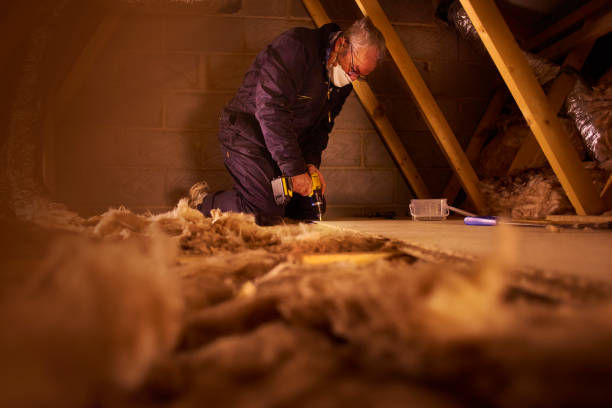 Best Cellulose Insulation in Parkland, FL