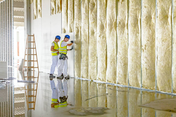 Best DIY Insulation Kits and Guidance in Parkland, FL